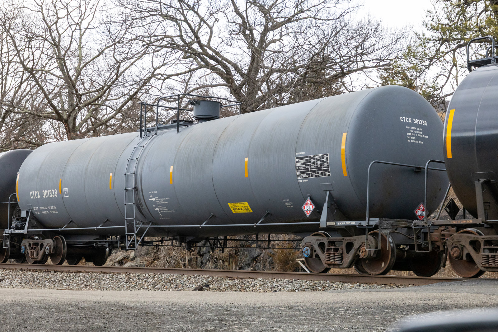 CTCX 301338