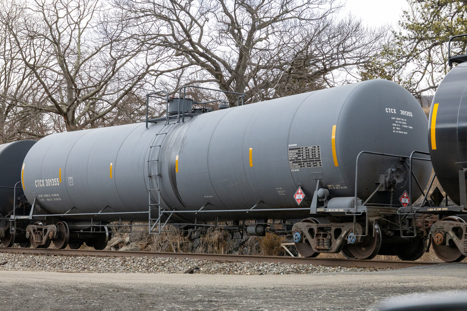 CTCX 301355