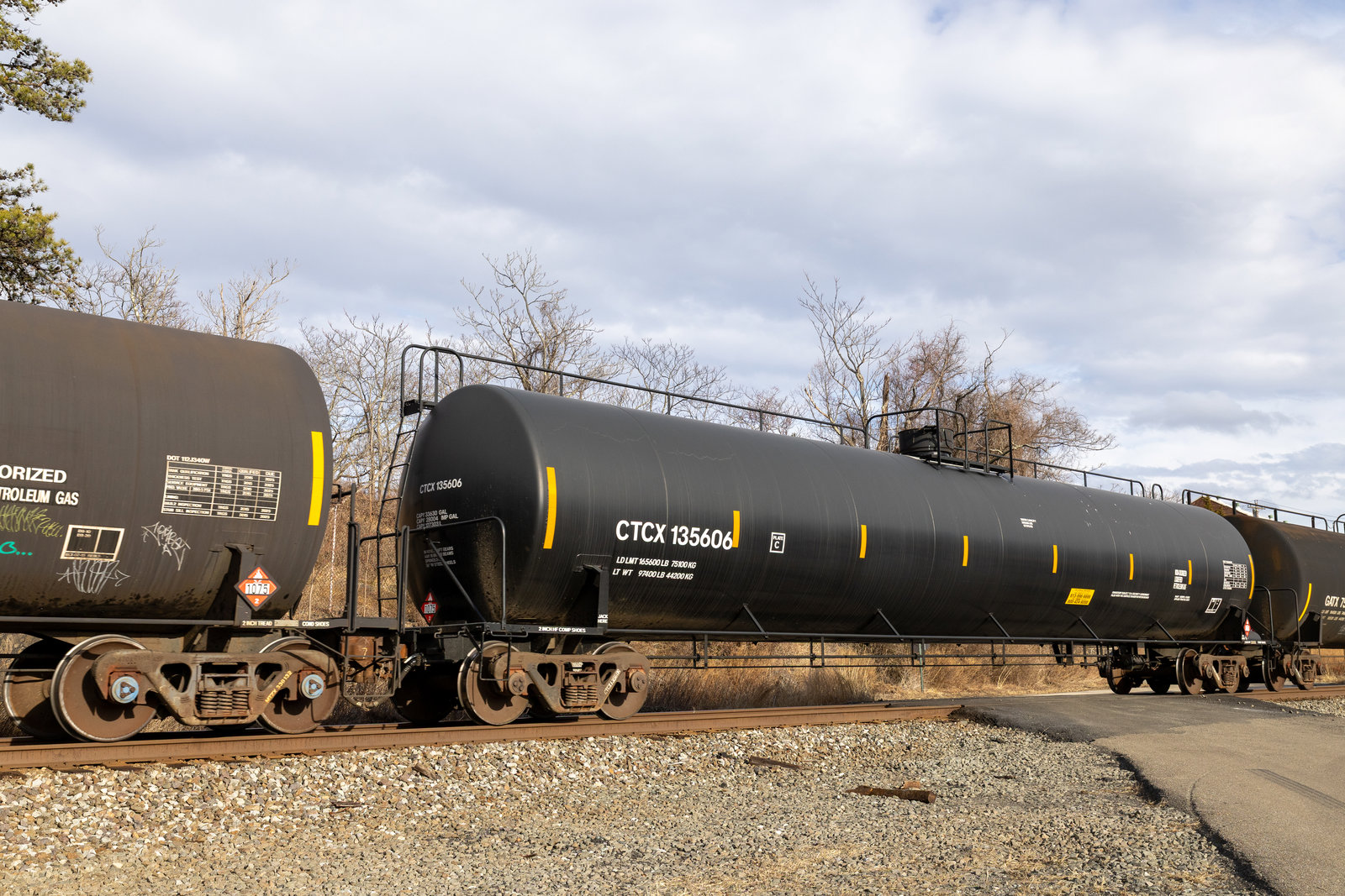 CTCX 135606