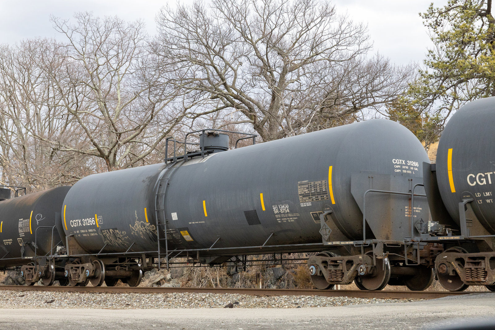 CGTX 31266