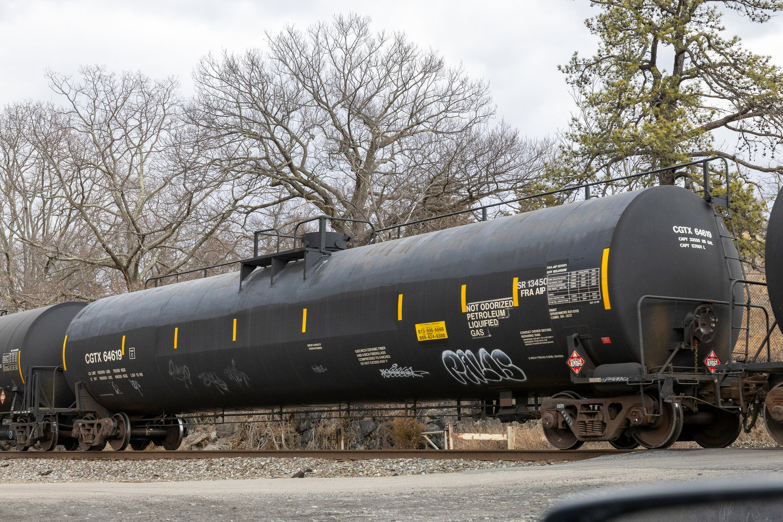 CGTX 64619