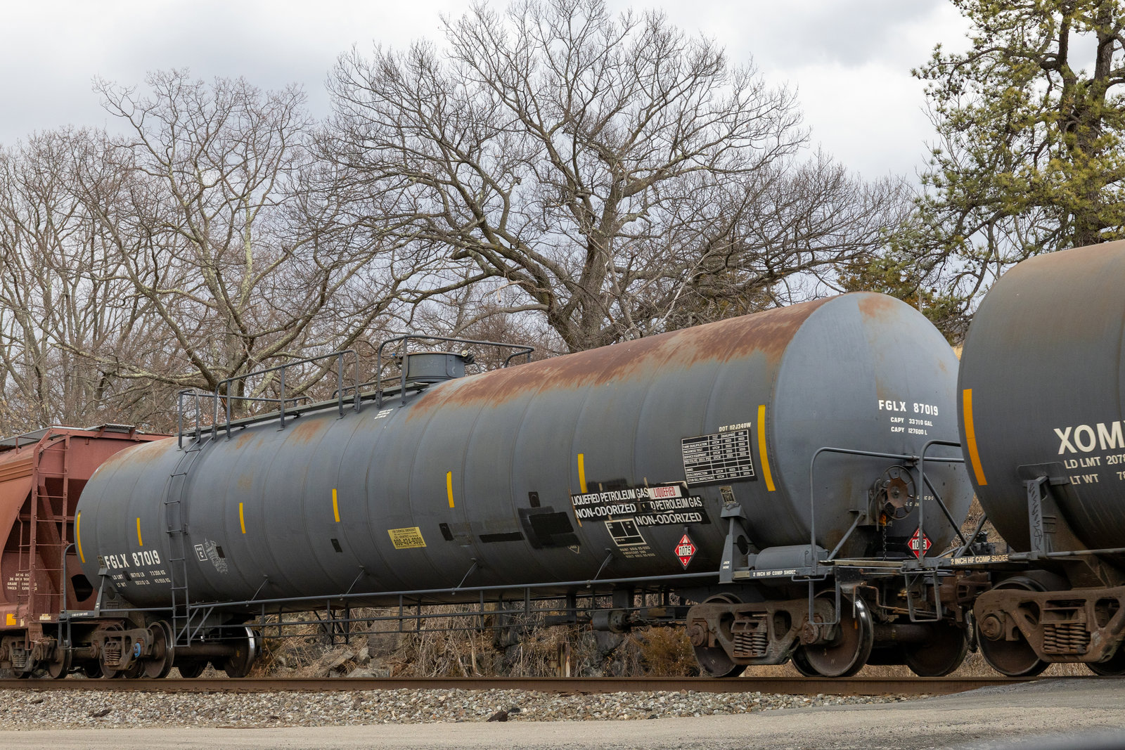 FGLX 87019