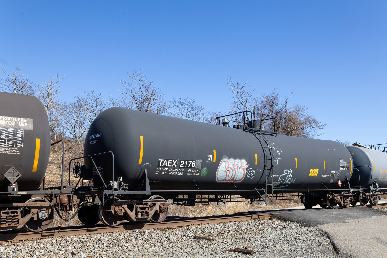 TAEX 2176