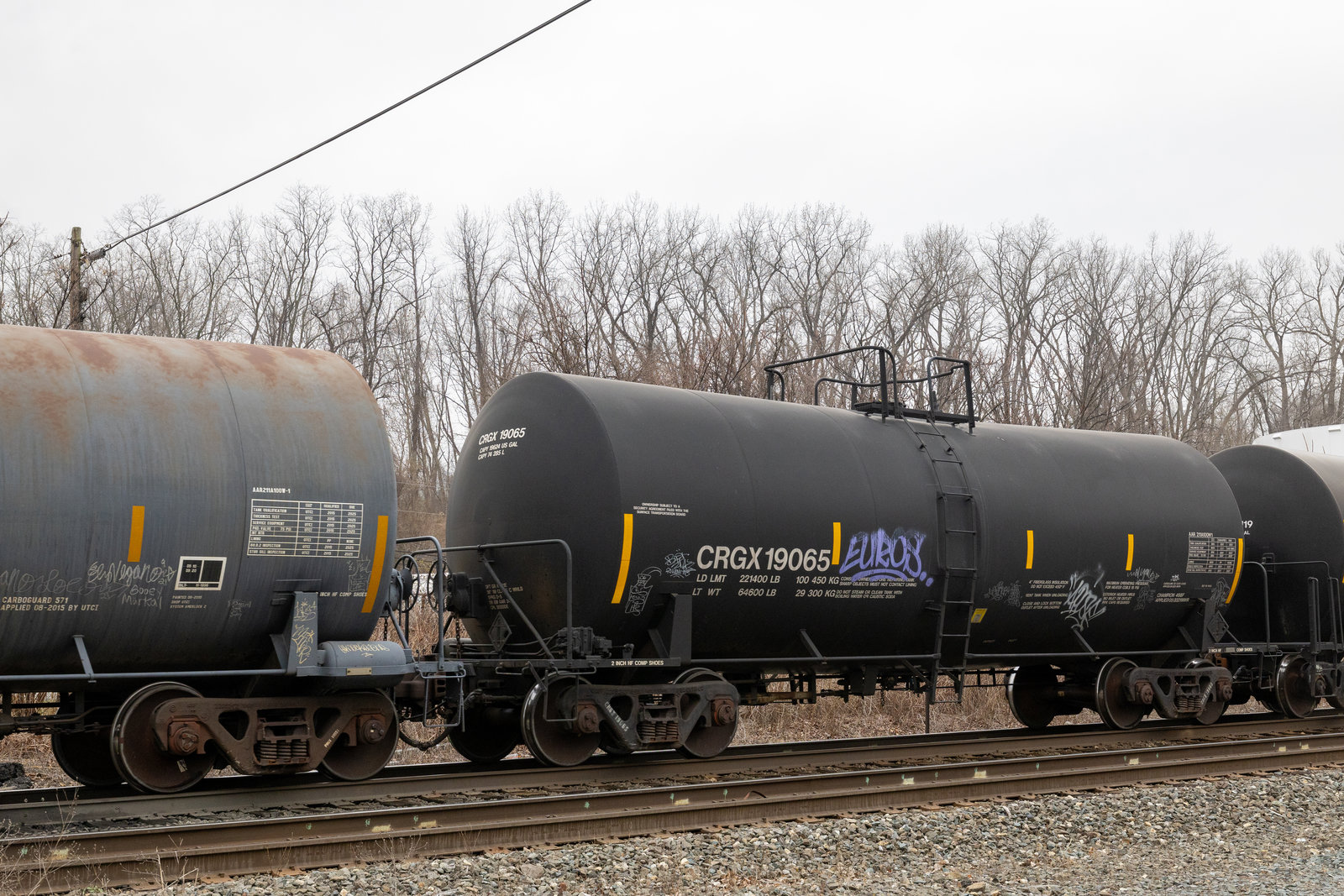 CRGX 19065