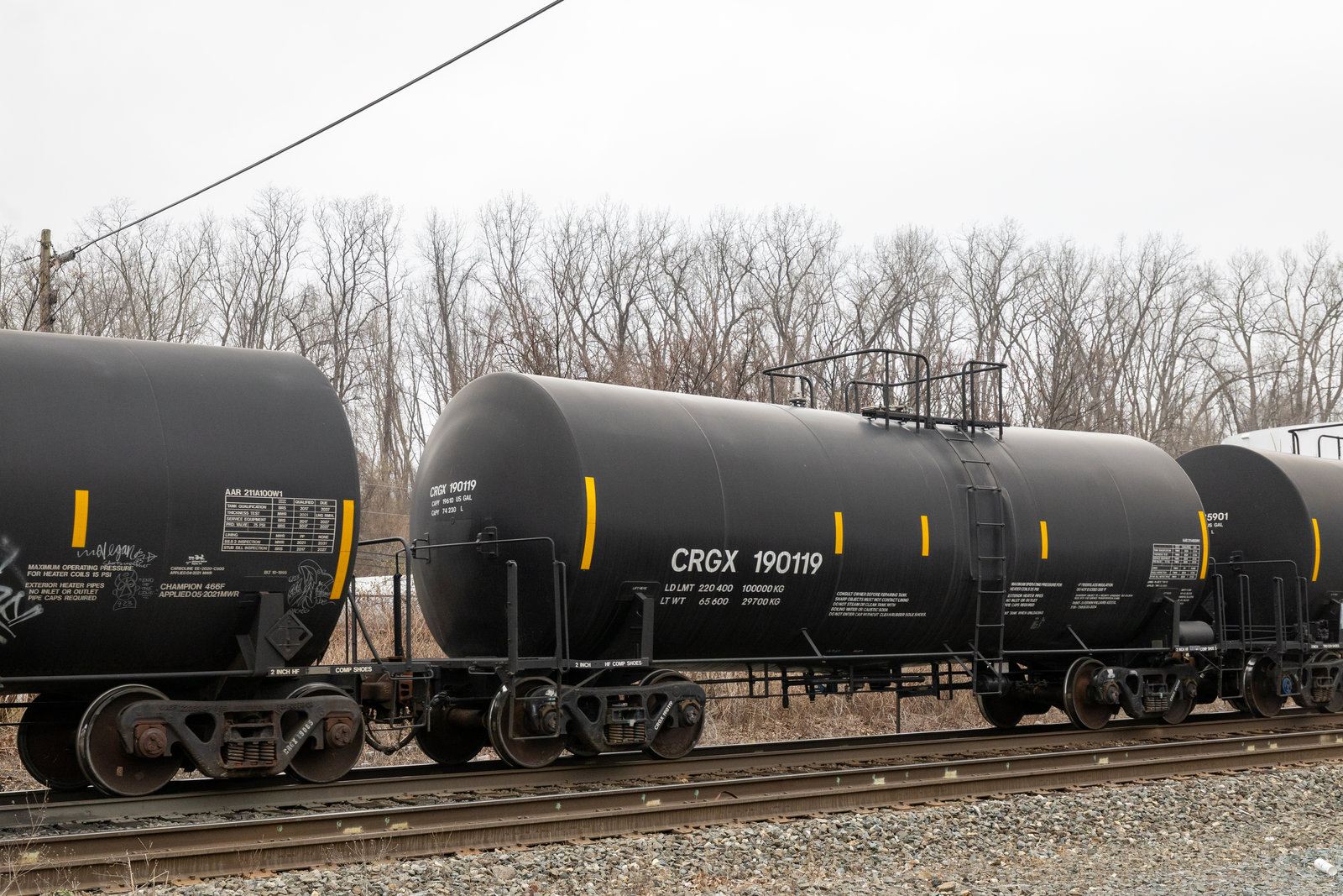 CRGX 190119