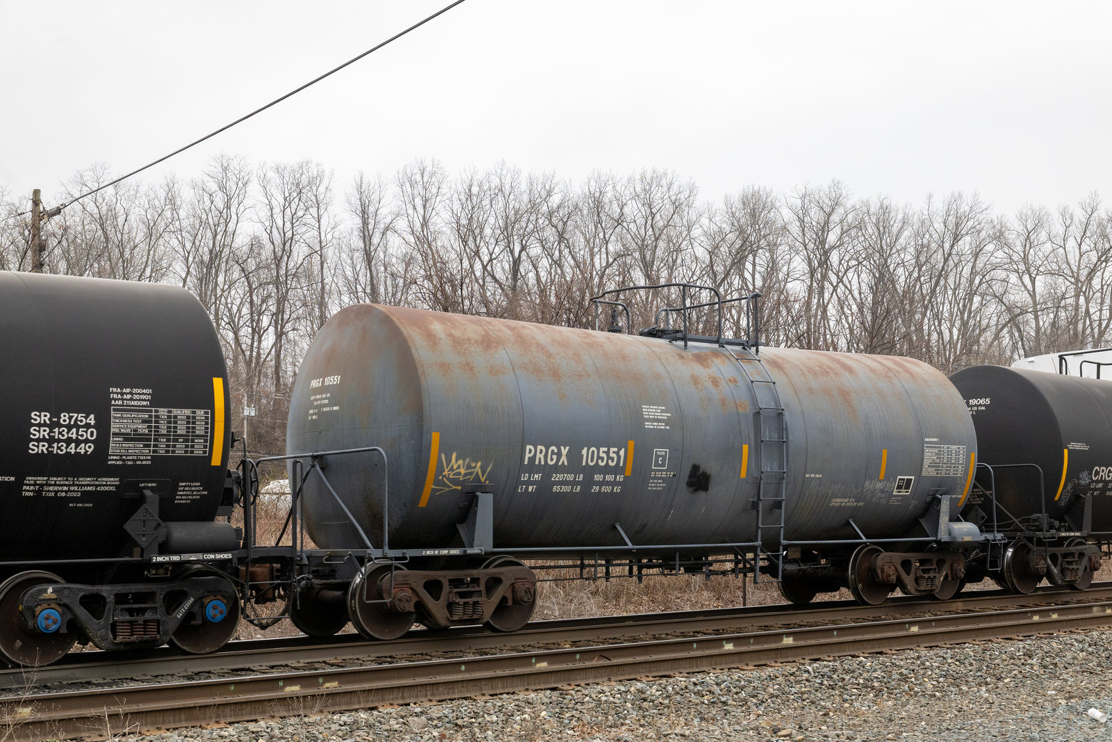 PRGX 10551