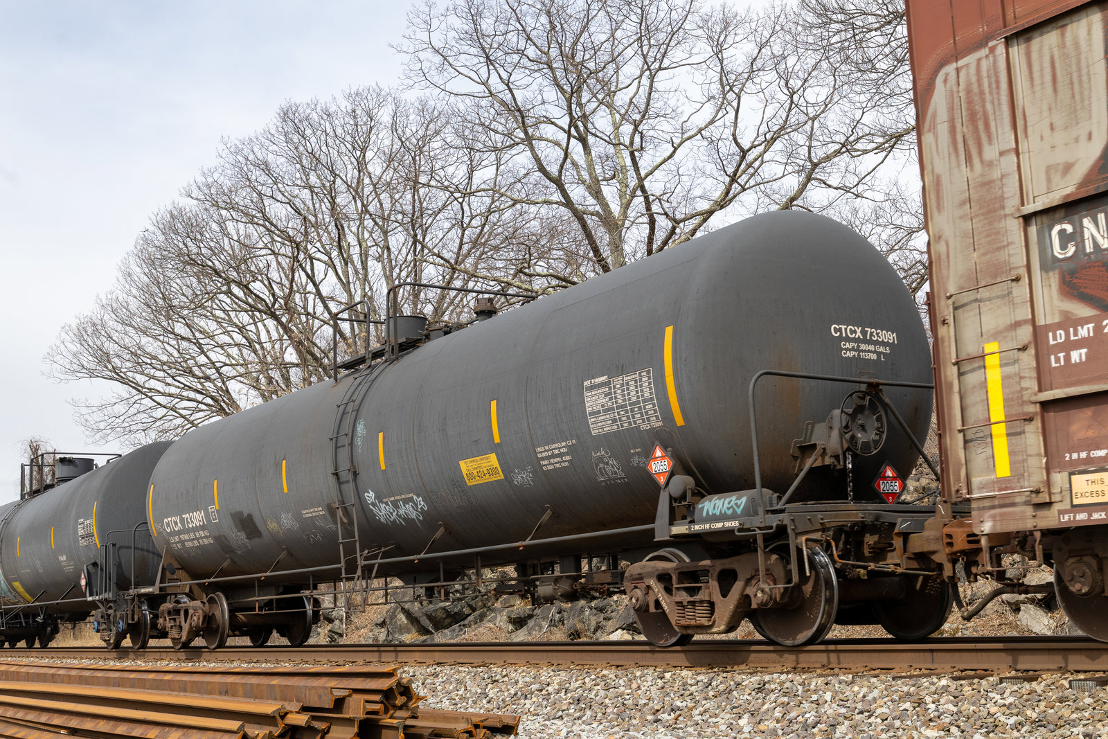CTCX 733091