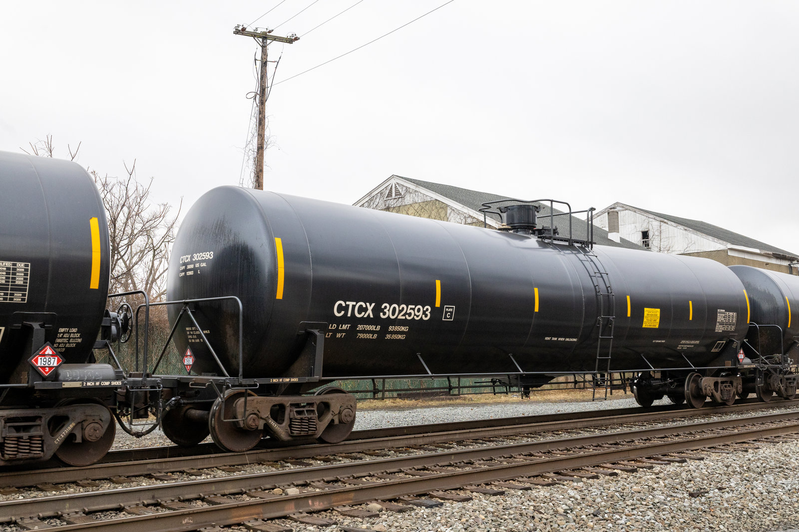 CTCX 302593