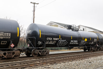 CTCX 730877