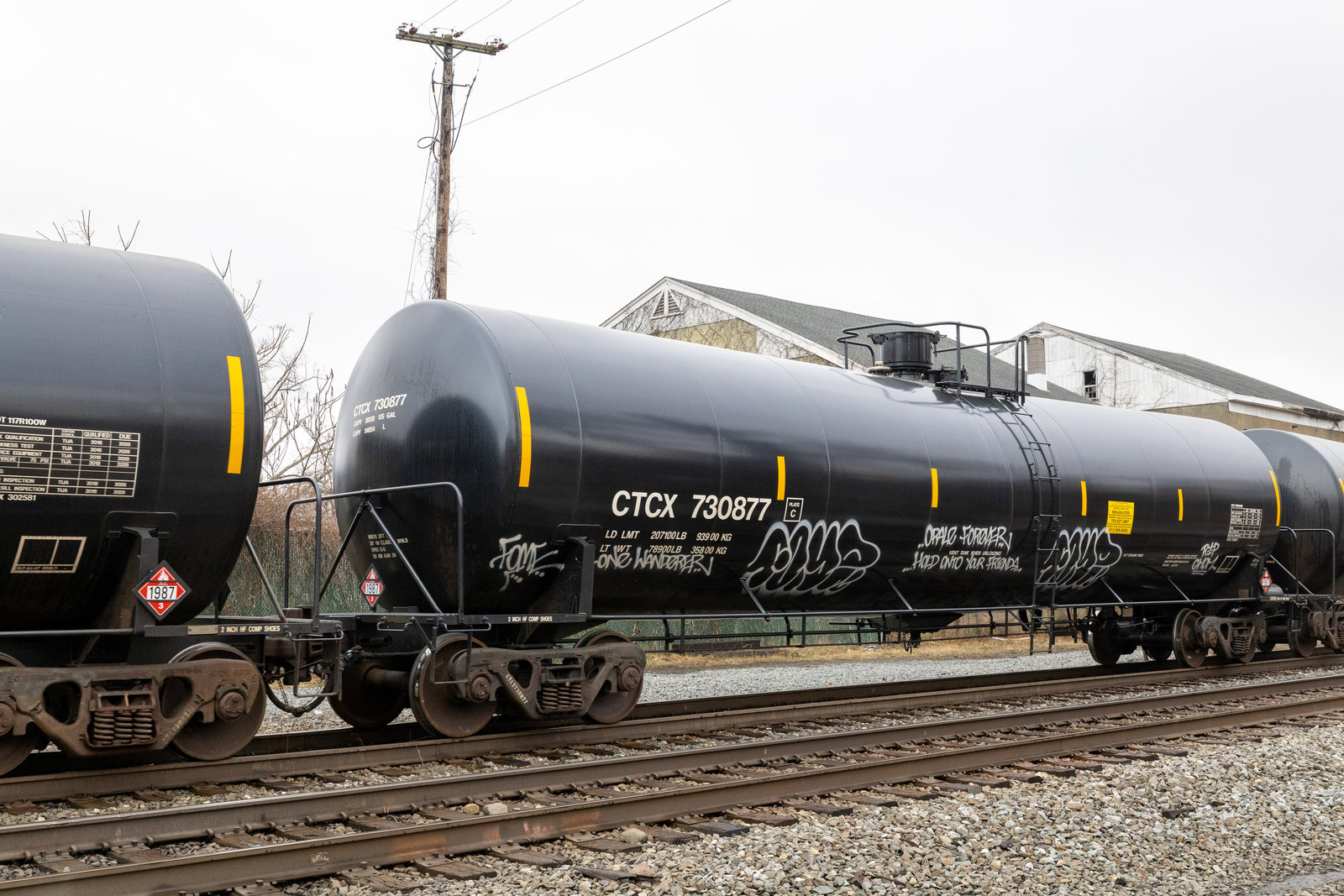 CTCX 730877