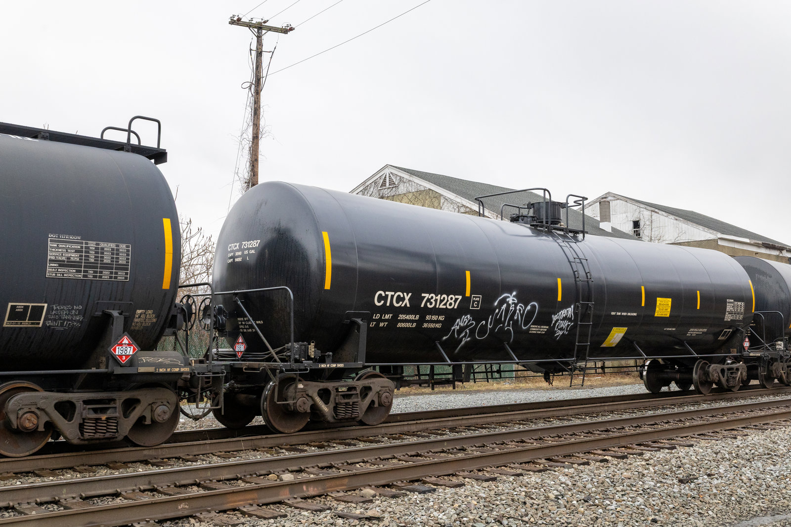CTCX 731287