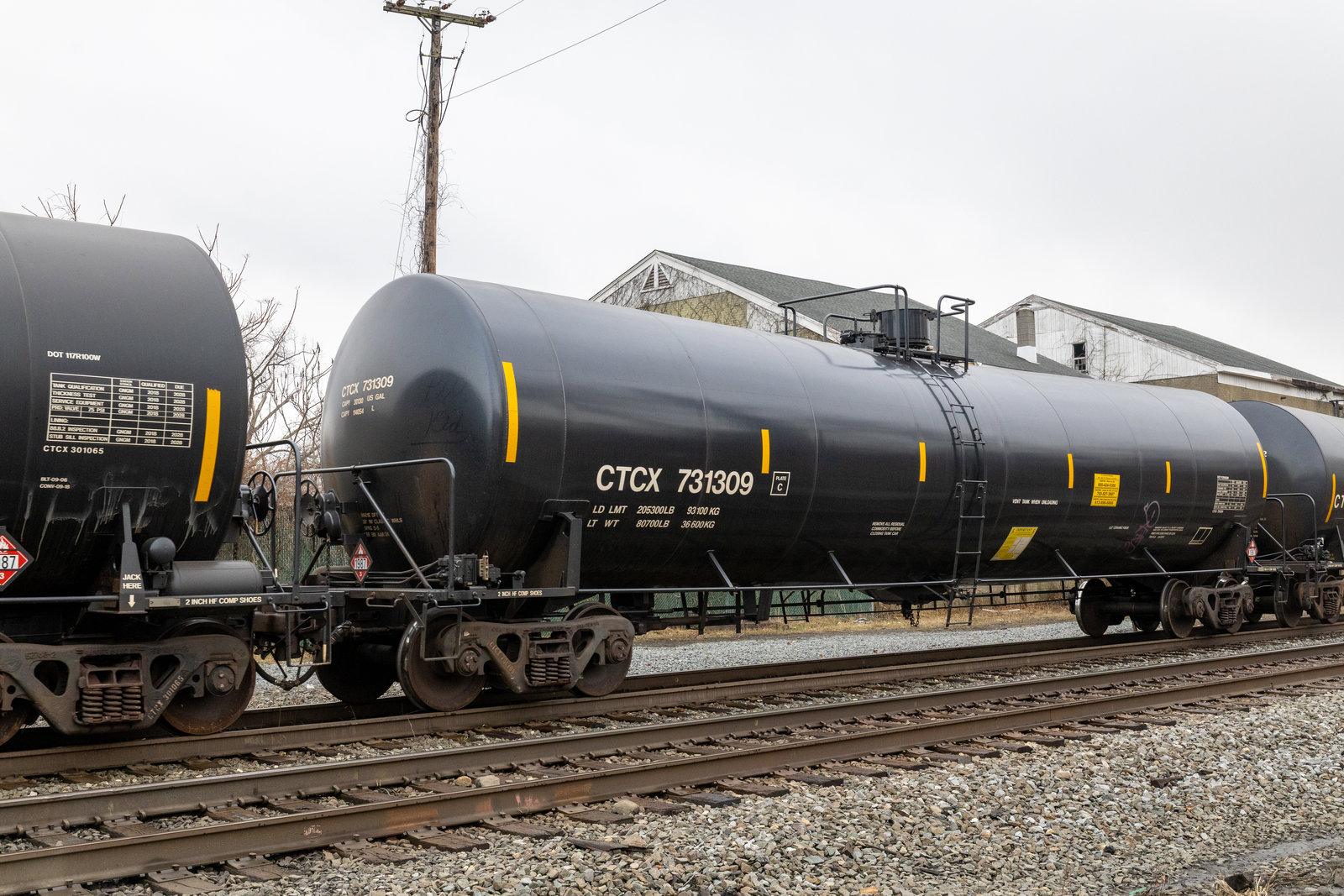 CTCX 731309