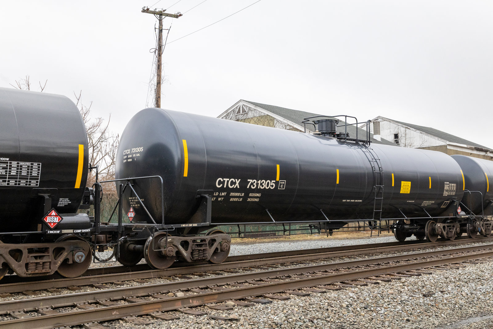 CTCX 731305