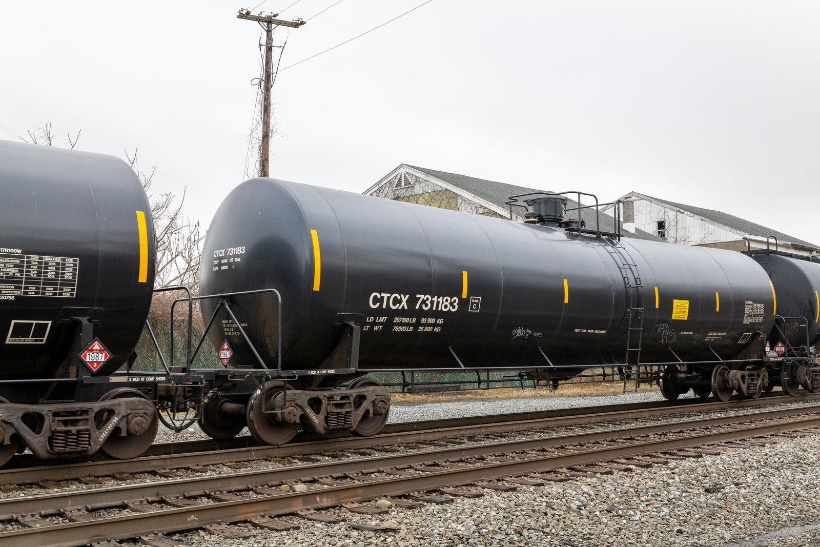 CTCX 731183