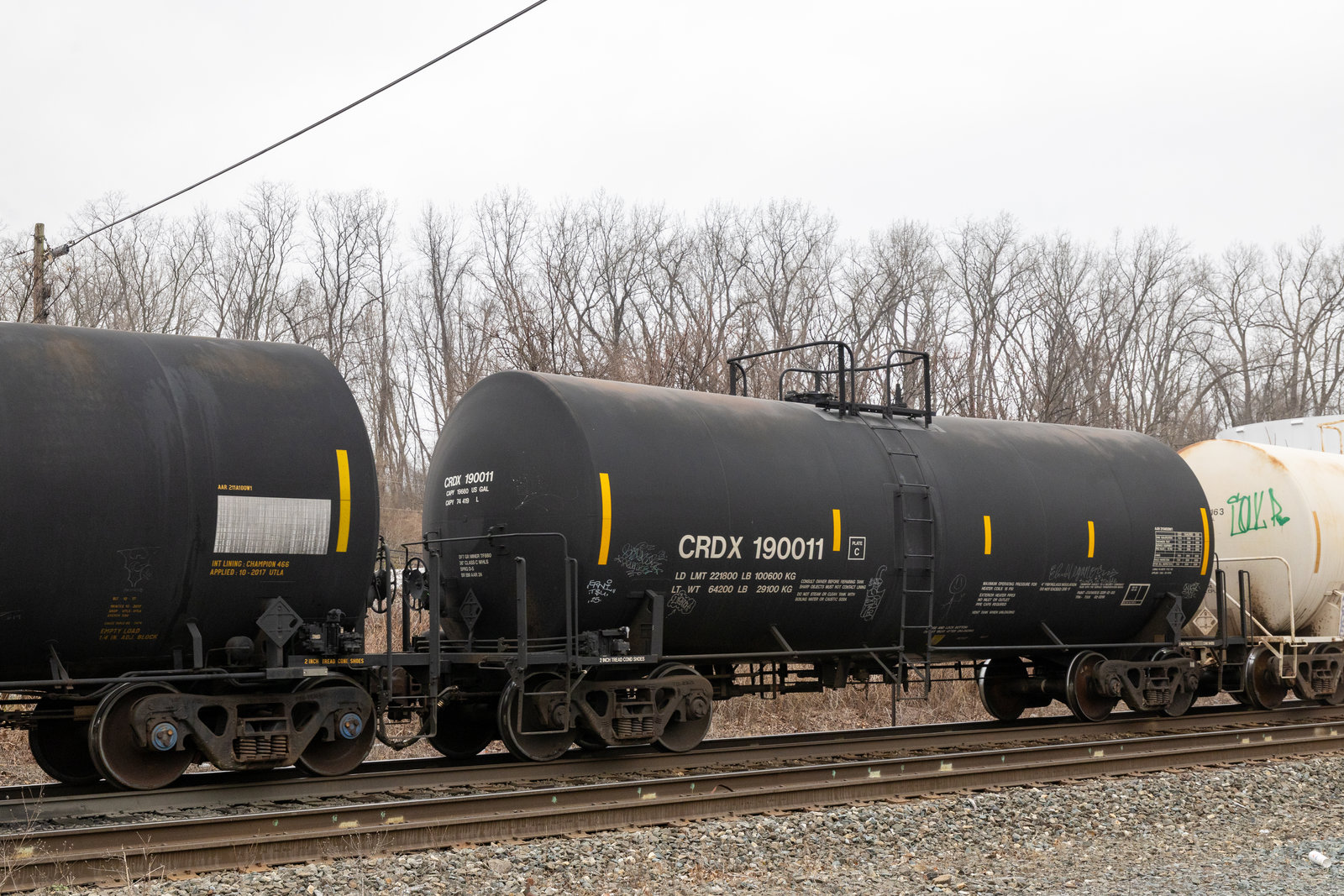 CRDX 190011