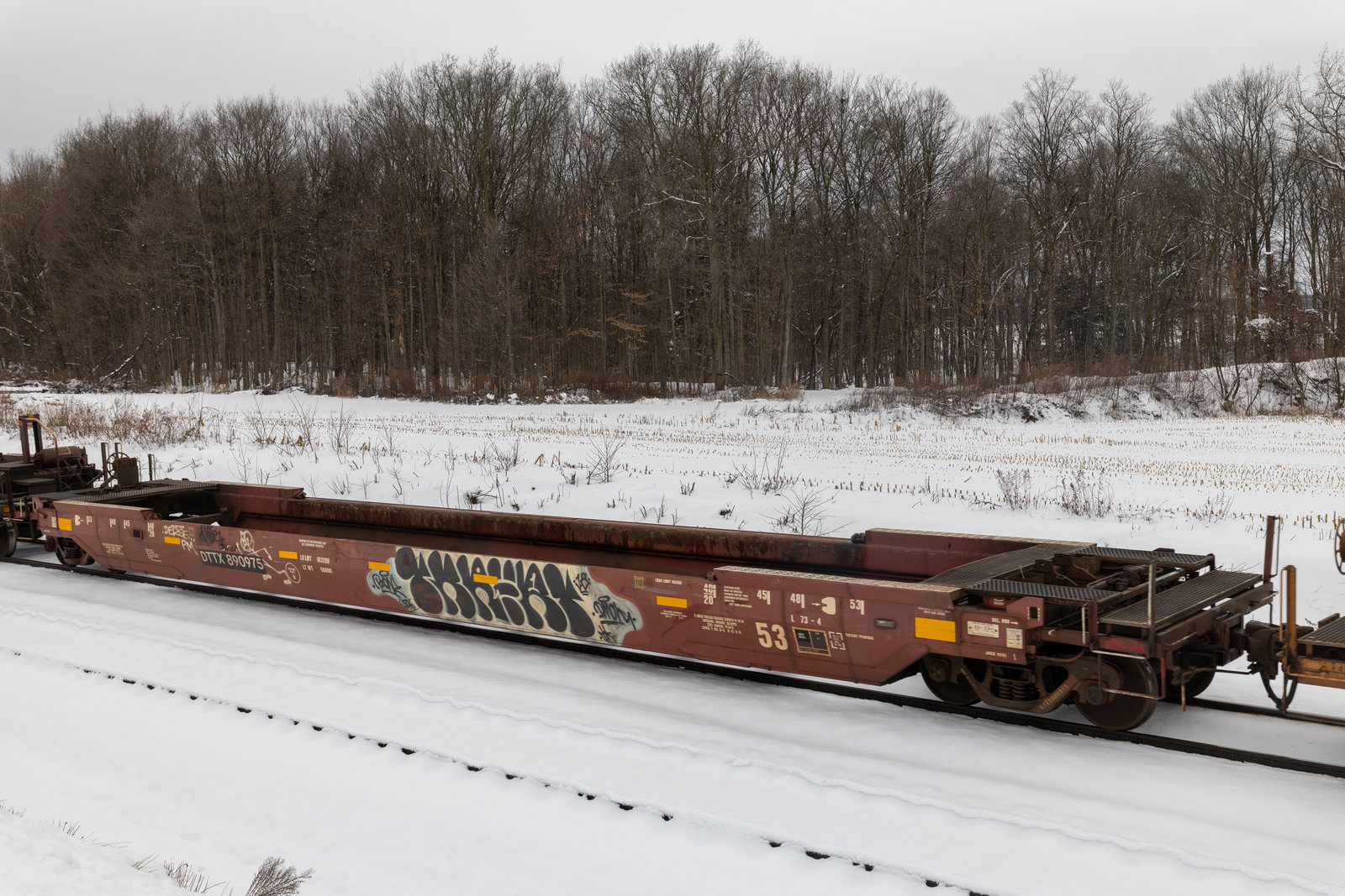 DTTX 890975