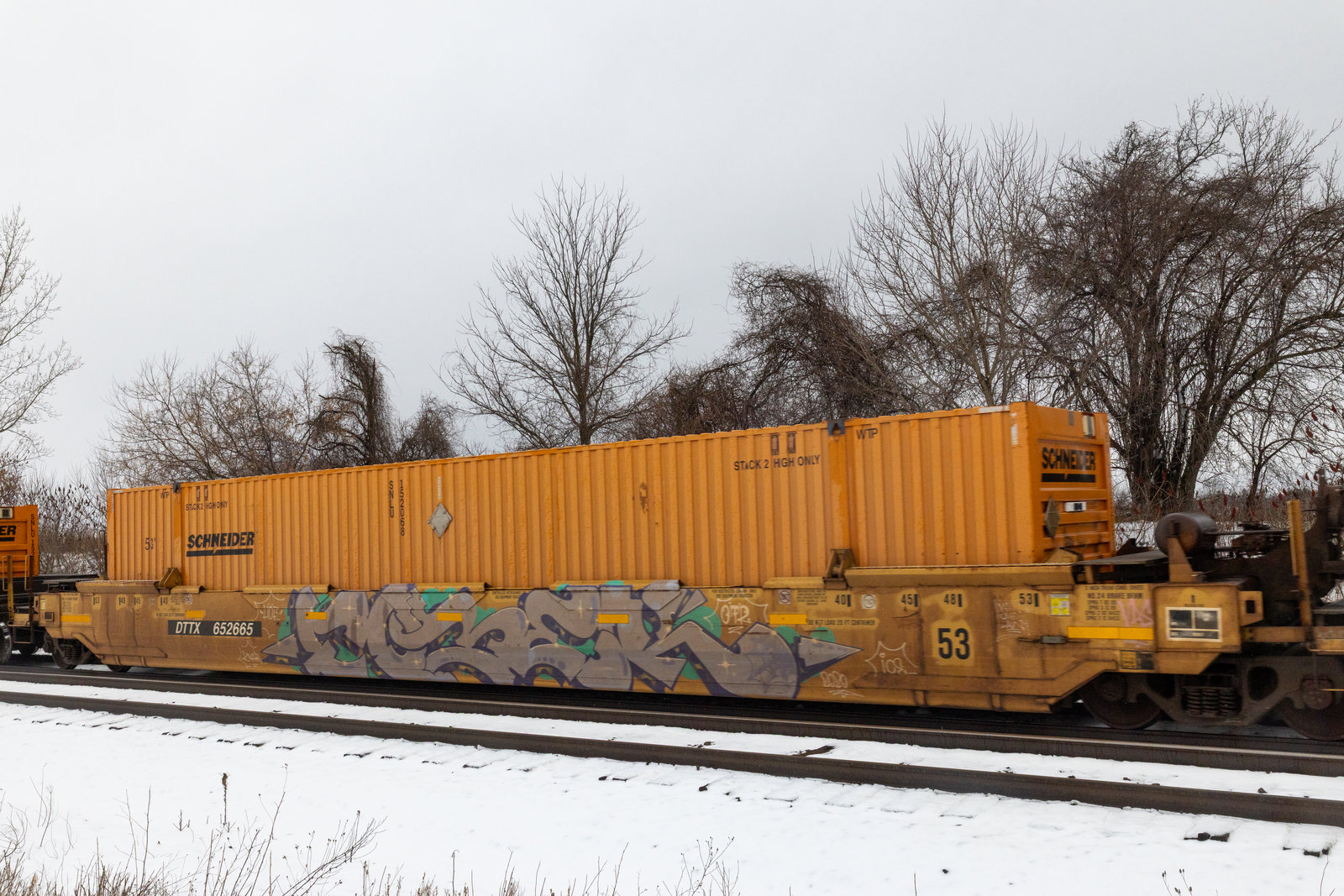 DTTX 652665