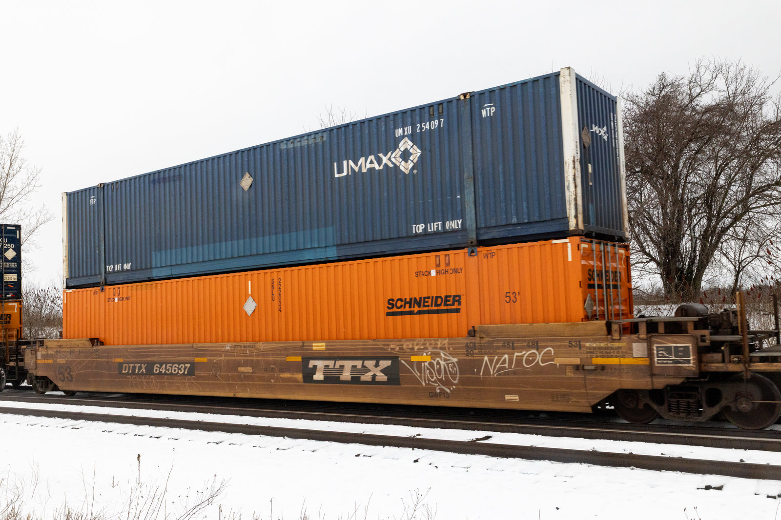 DTTX 645637