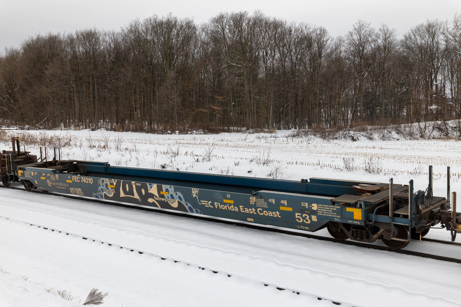 FEC 74010