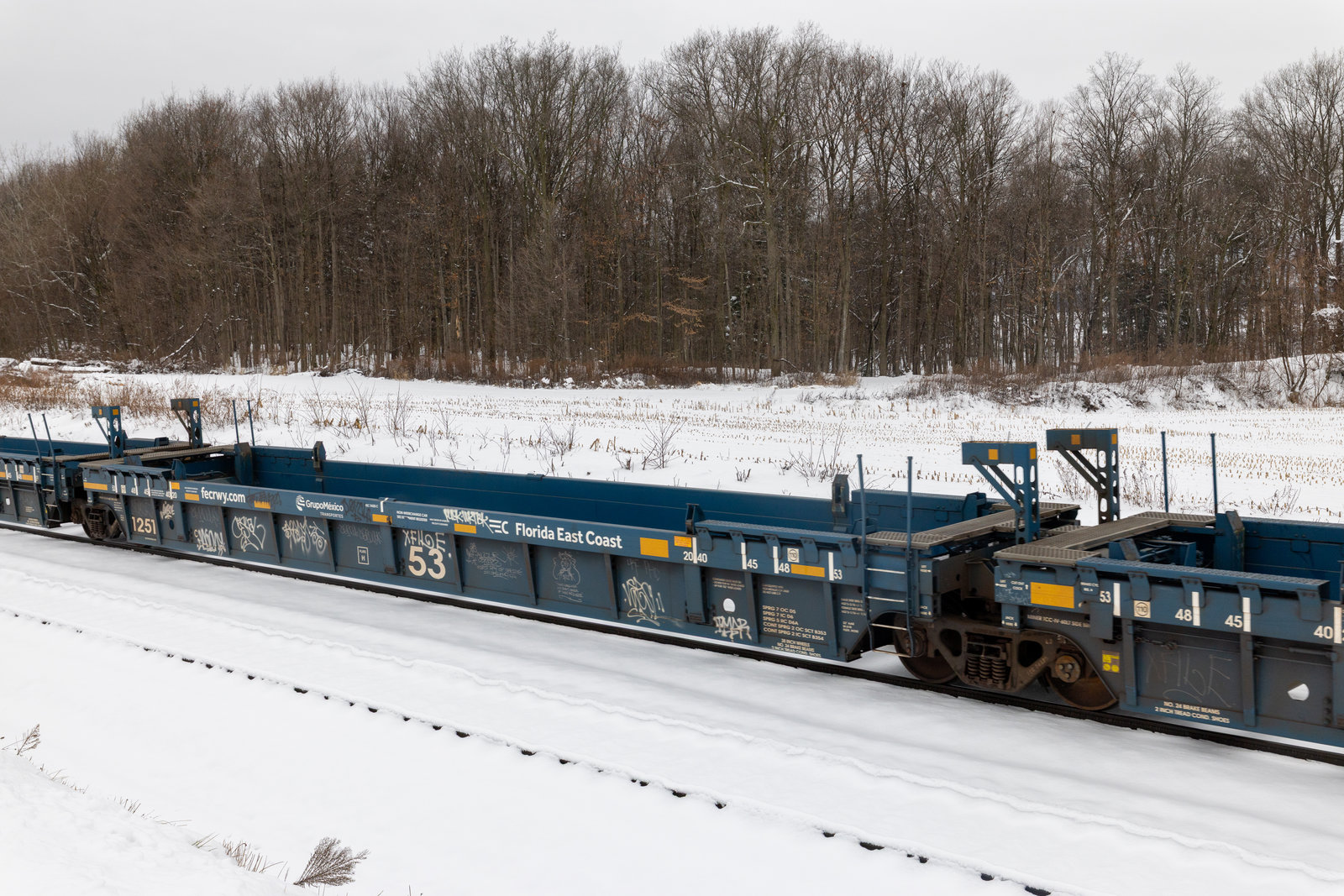 FEC 74325C
