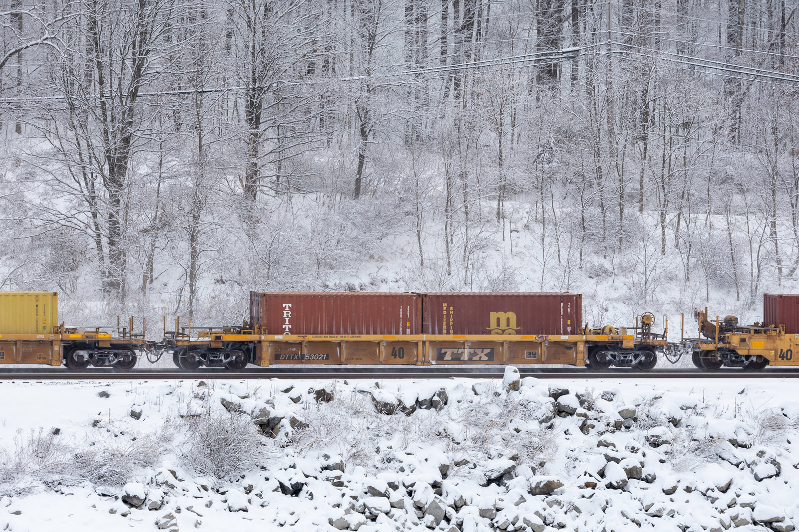 DTTX 53021