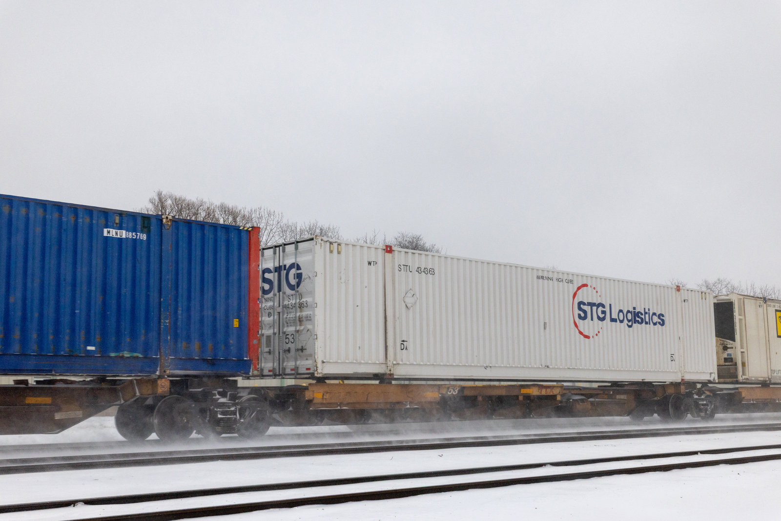 TTAX 556779D