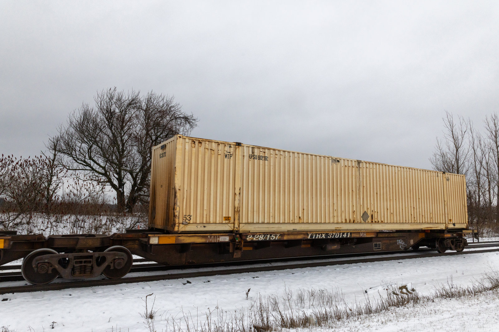 TTRX 370141A