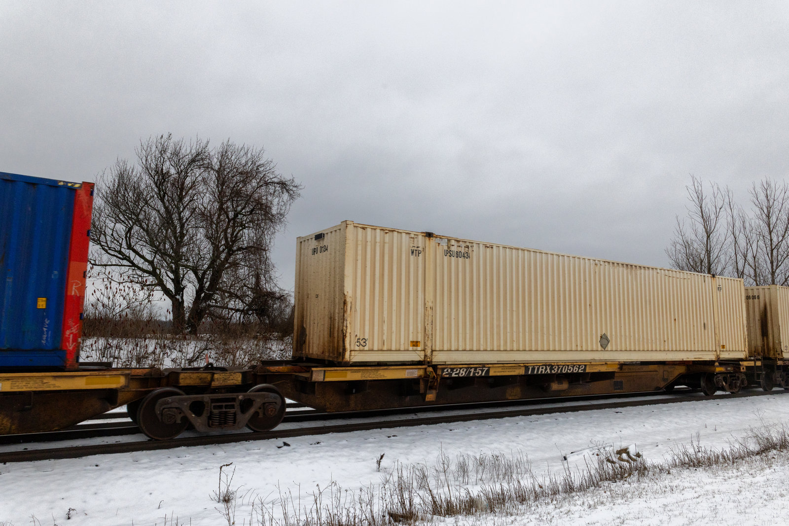 TTRX 370562A