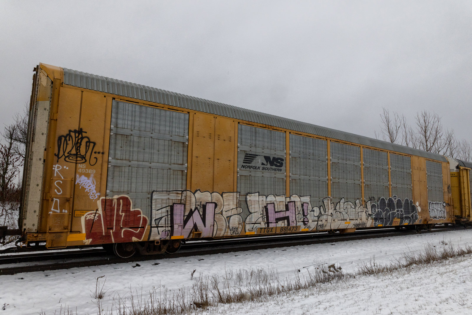 TTGX 691743