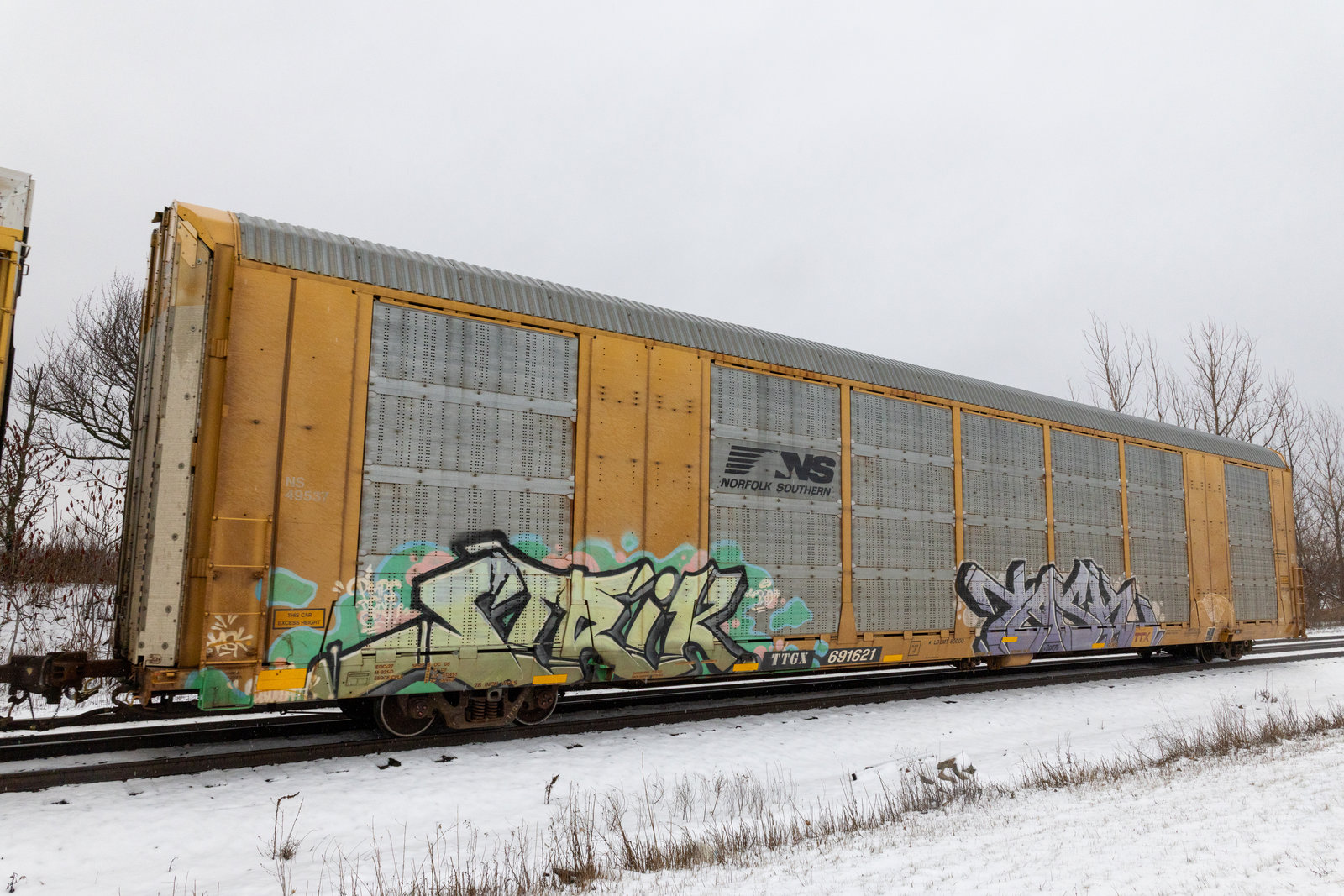 TTGX 691621