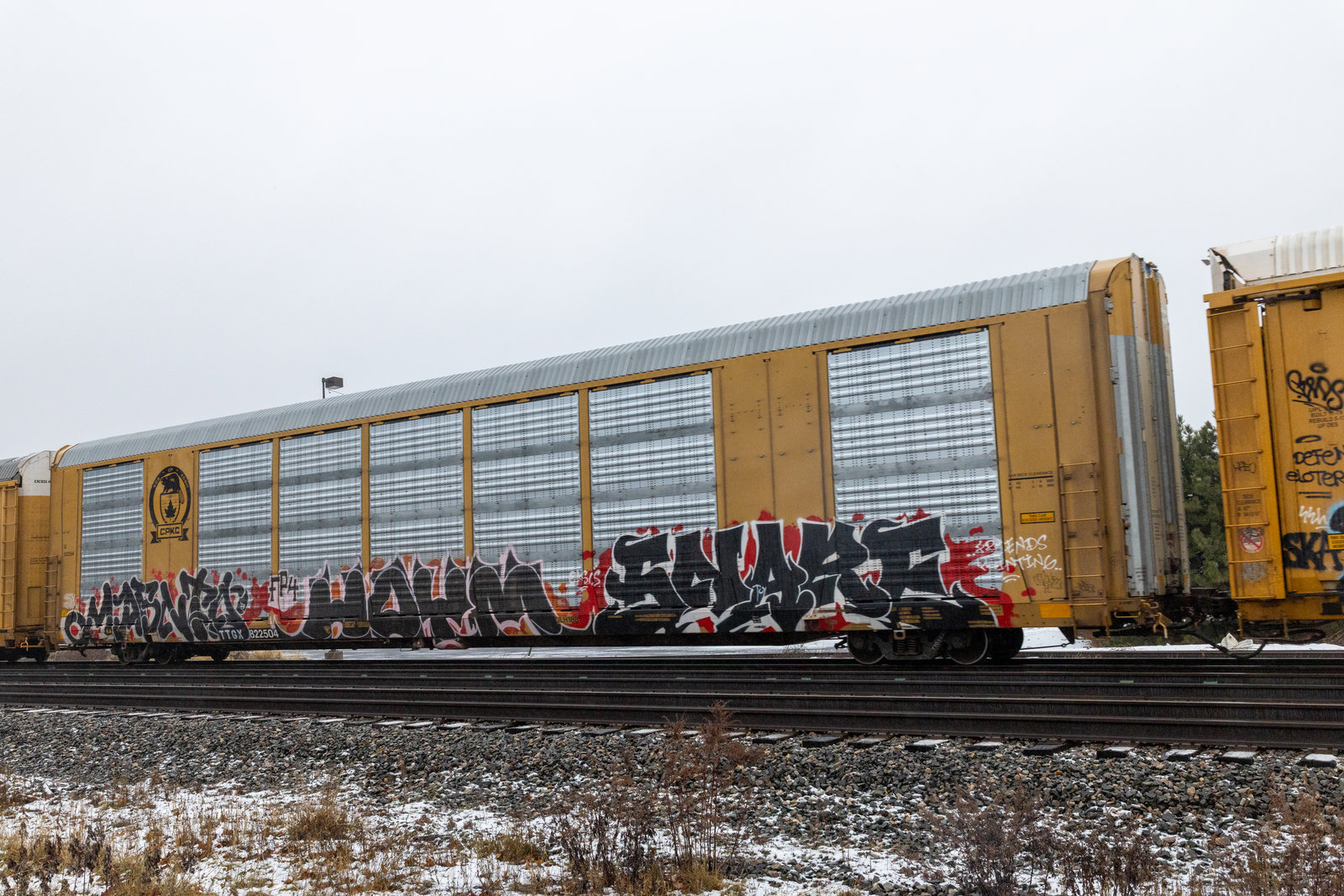 TTGX 822504