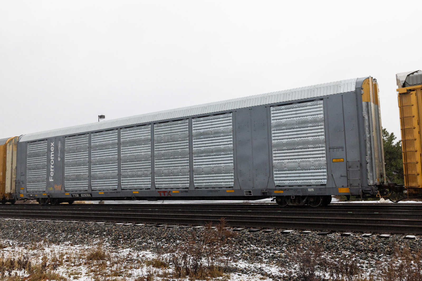 TTGX 825086