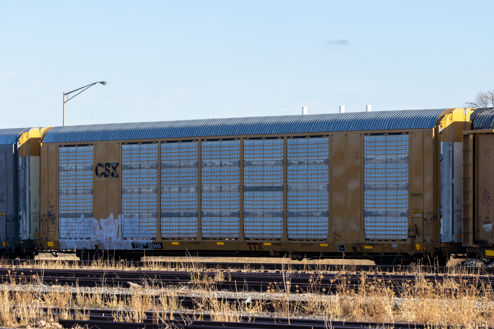 TTGX 825461