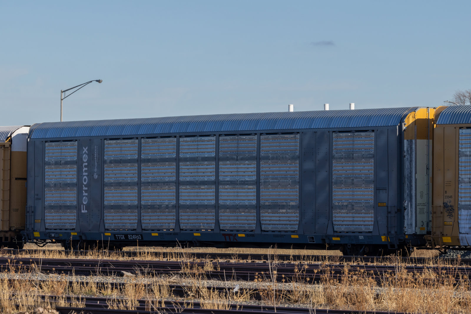 TTGX 824960