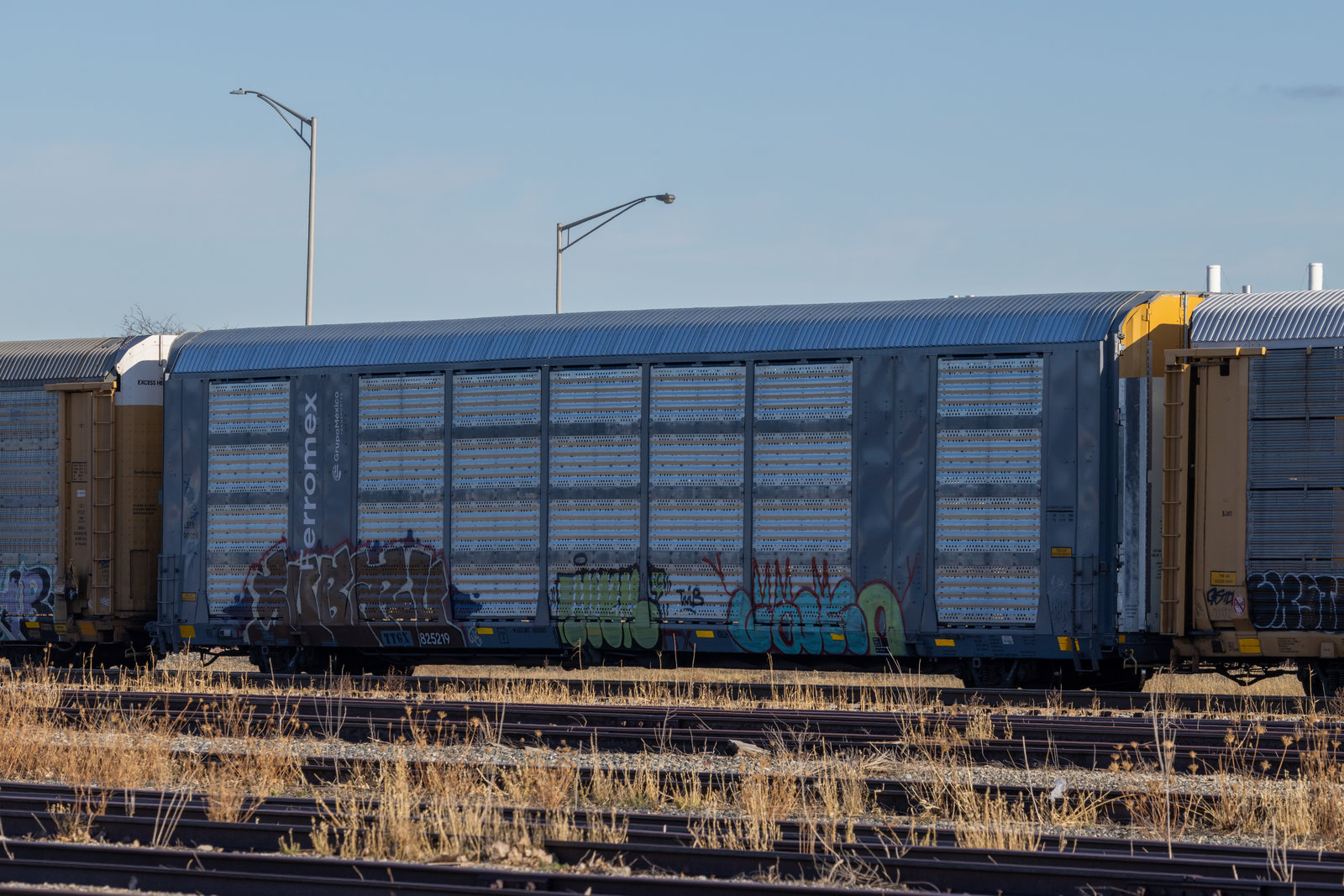 TTGX 825219