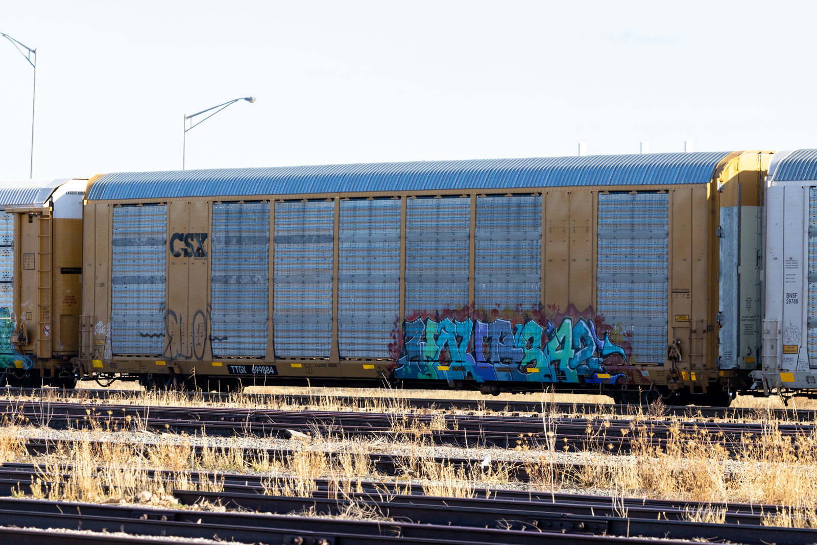 TTGX 699884