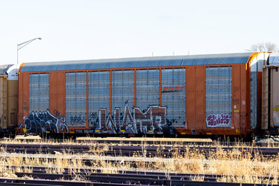 TTGX 693407
