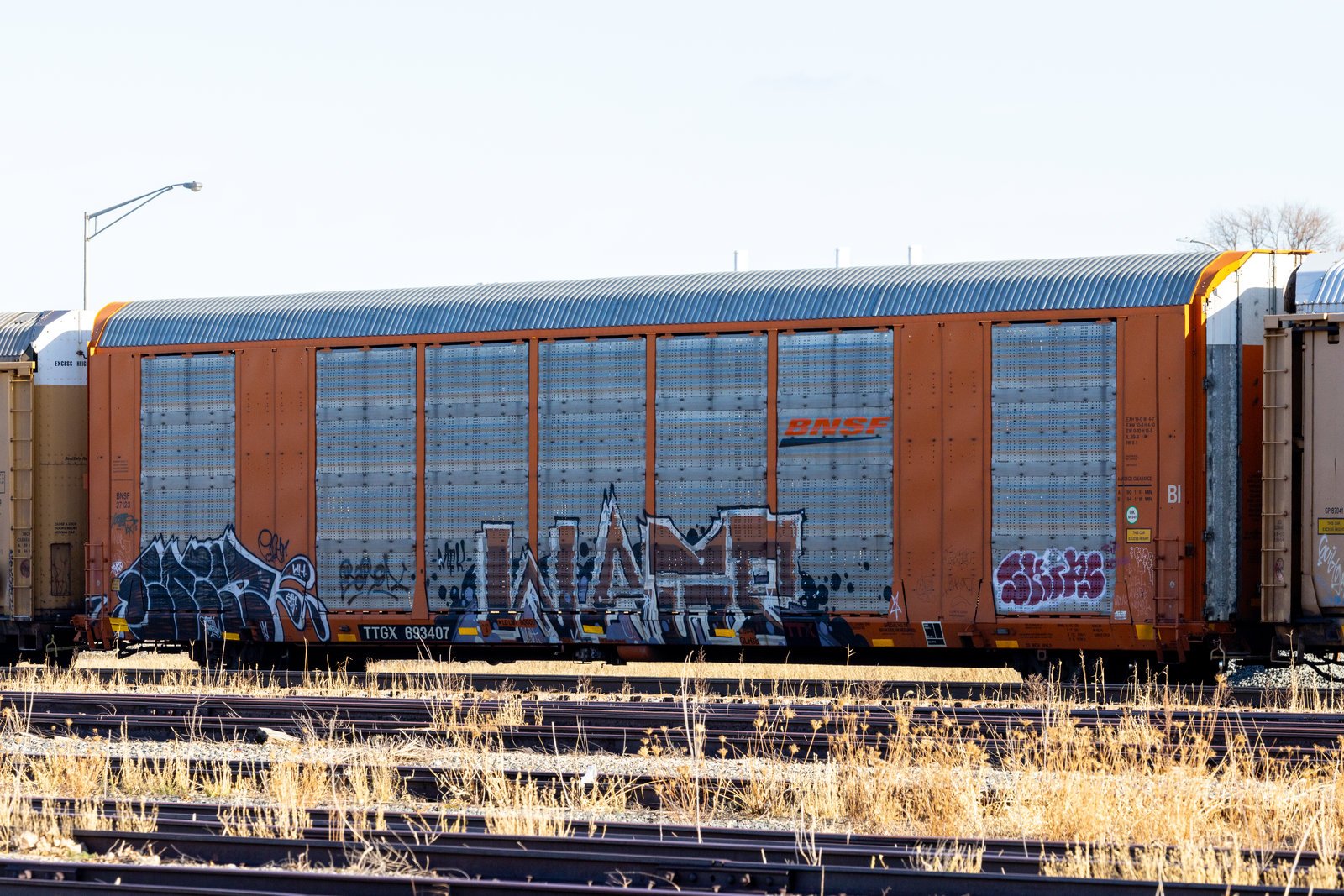 TTGX 693407