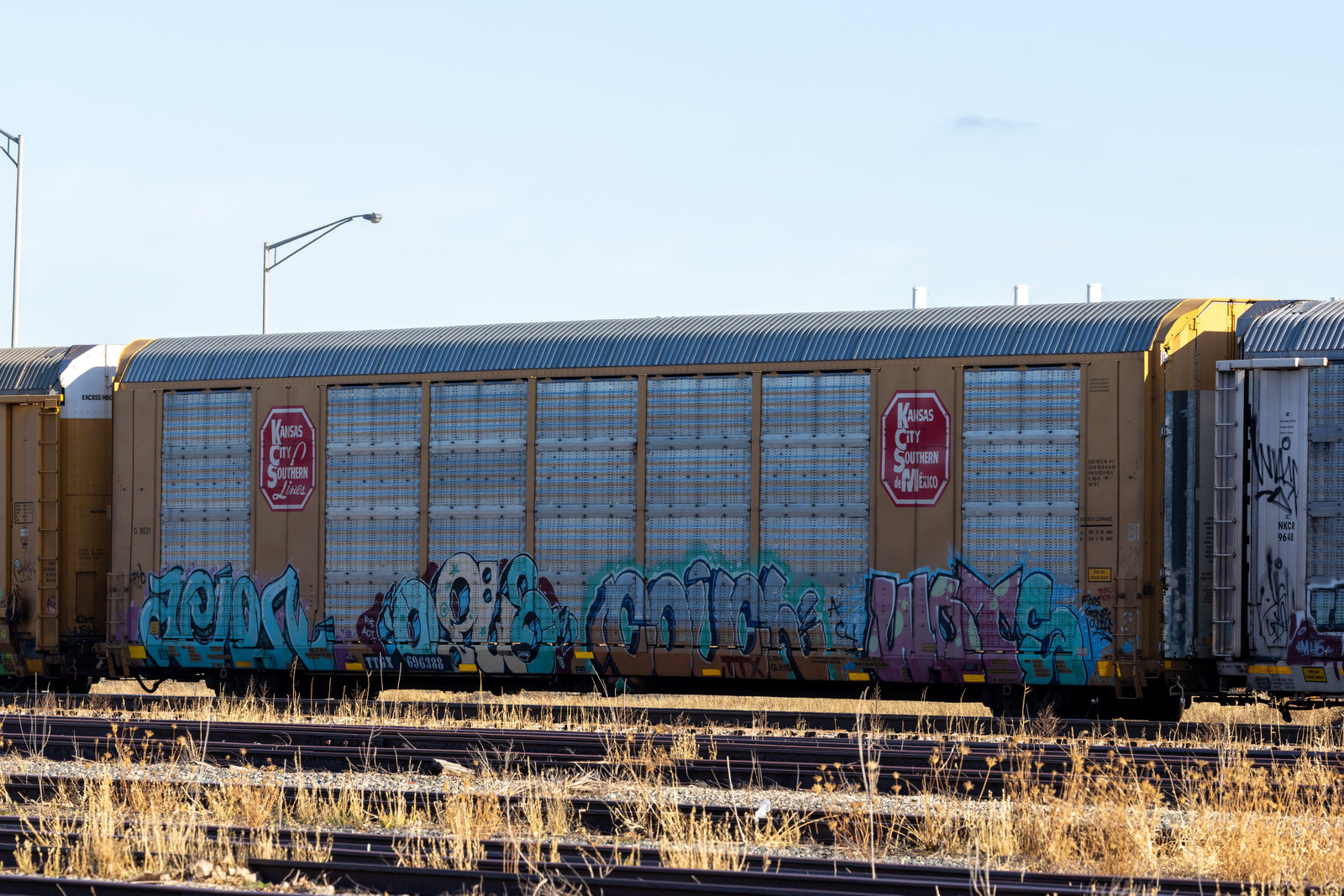 TTGX 696388