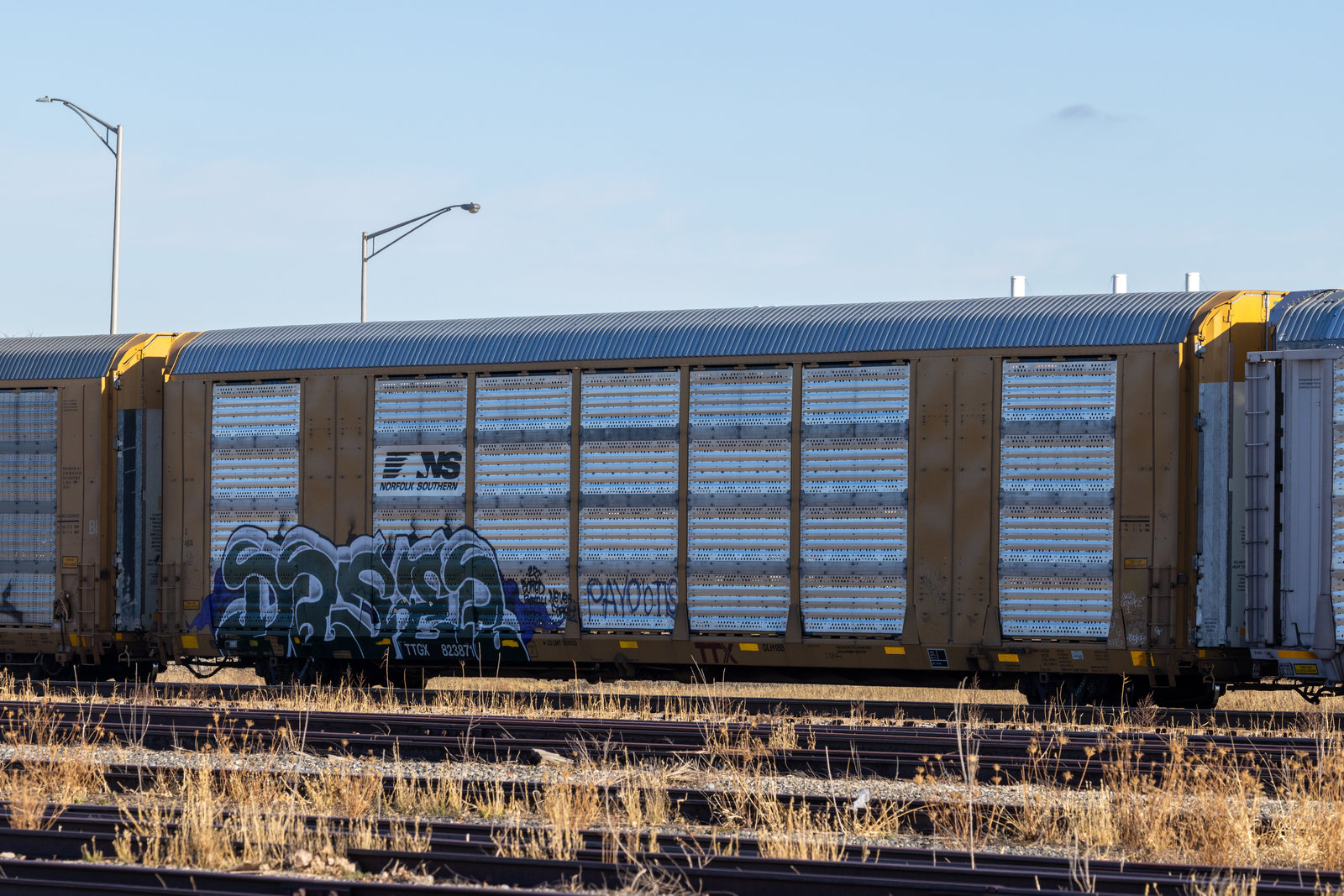 TTGX 823871