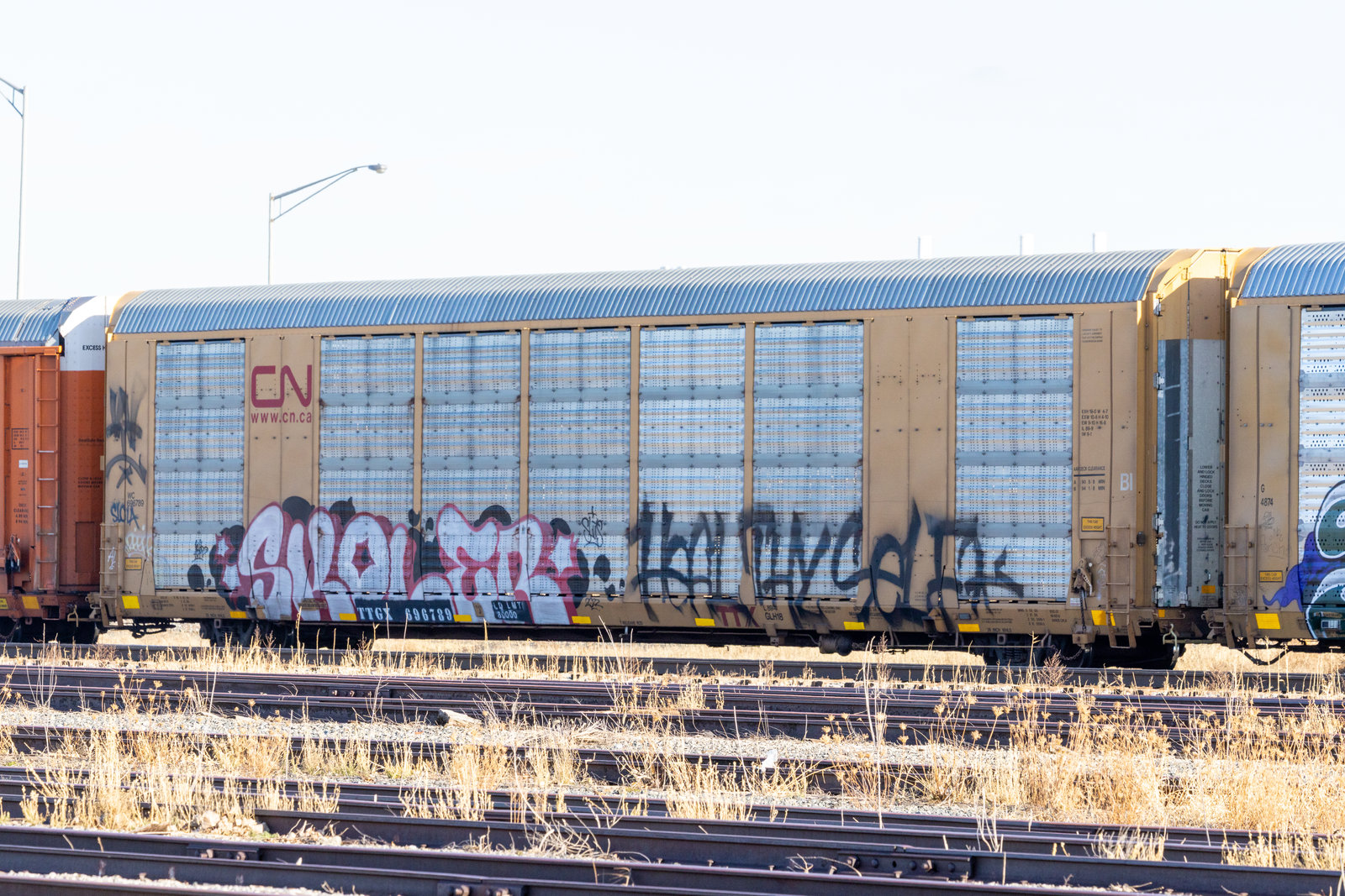 TTGX 696789
