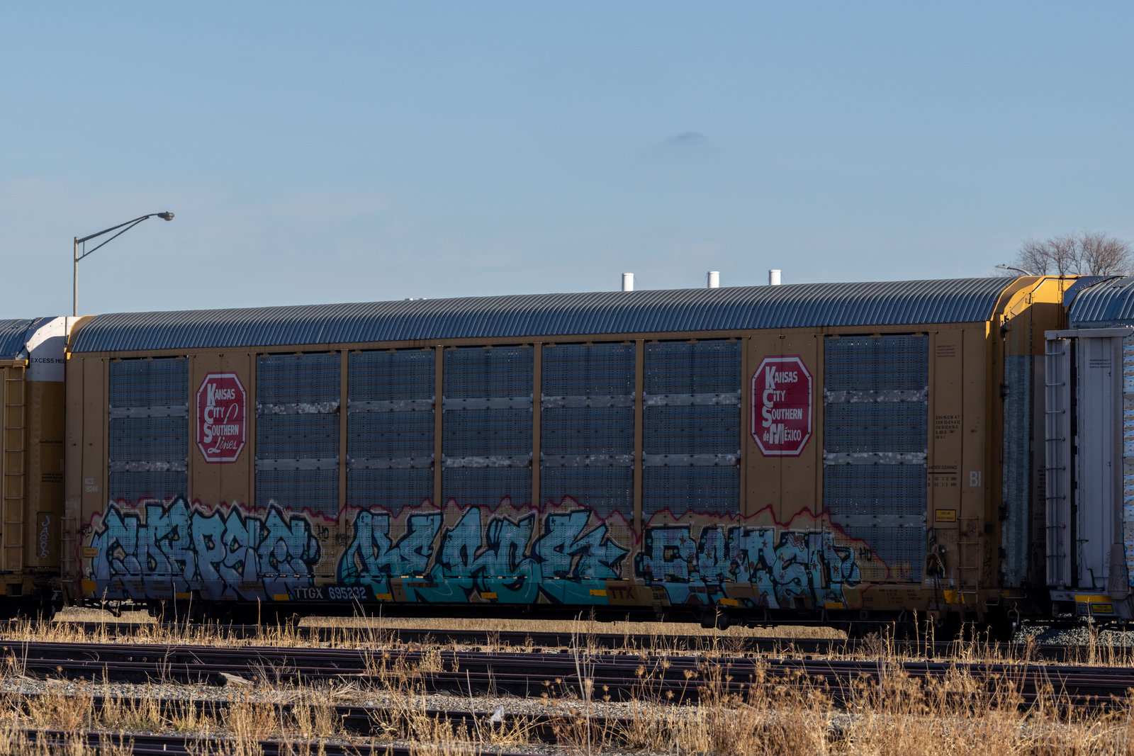TTGX 695232