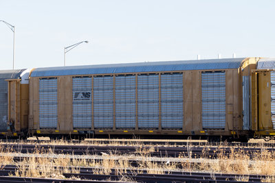 TTGX 997461