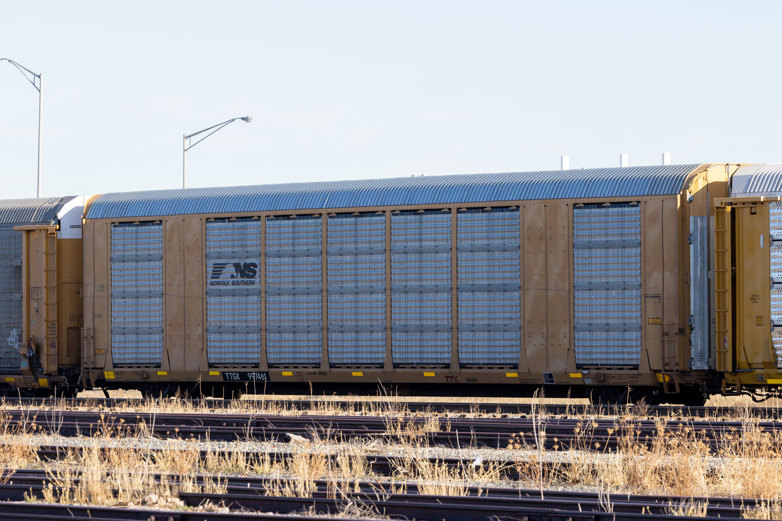 TTGX 997461