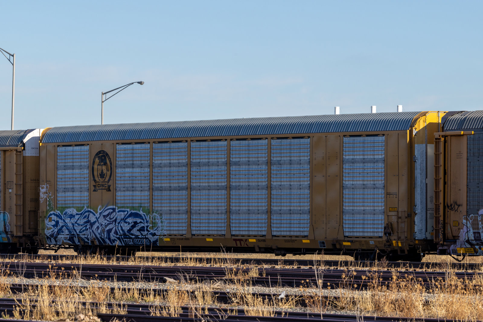 TTGX 822810