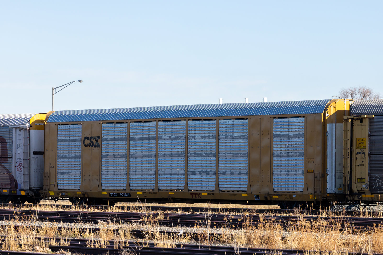 TTGX 825591