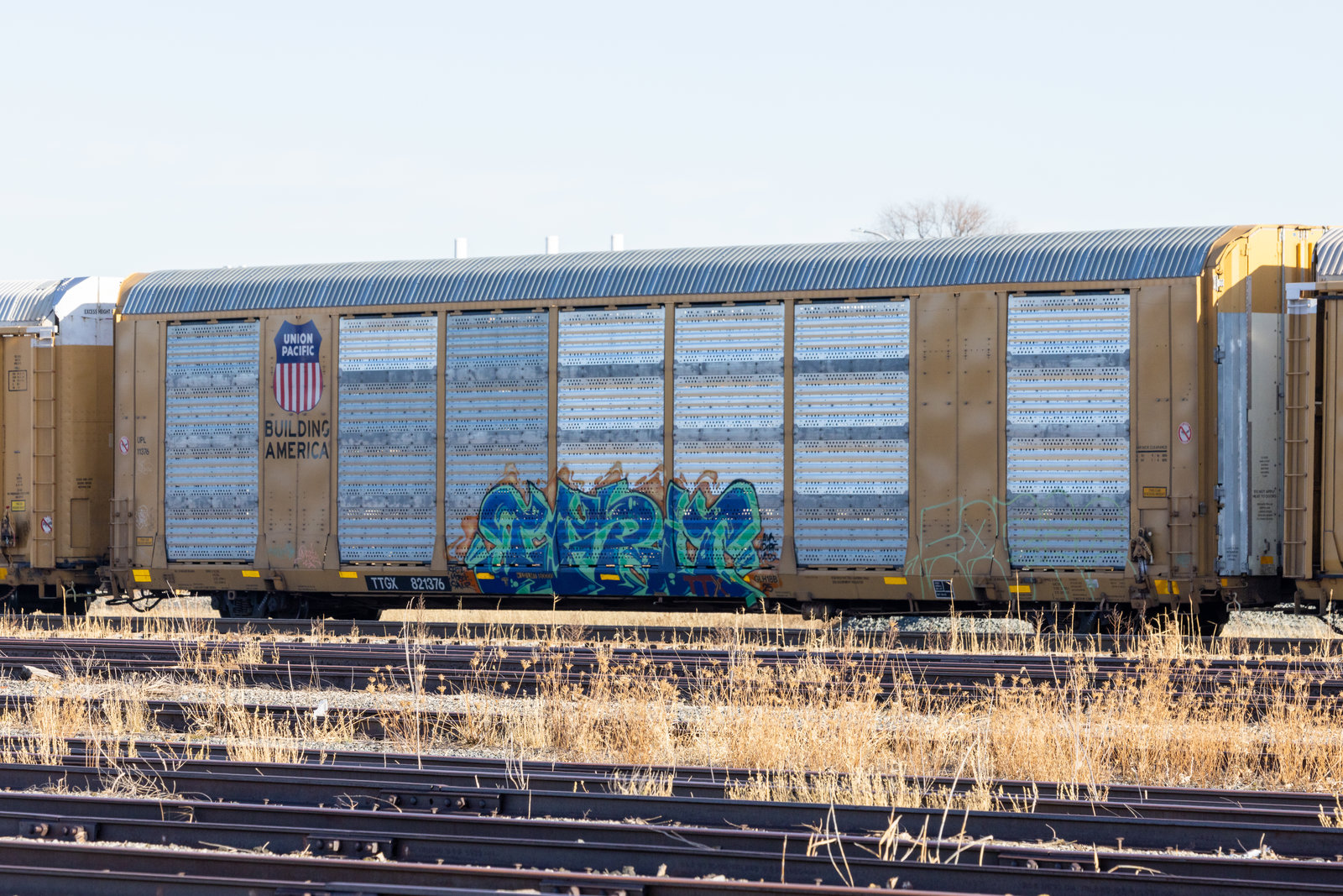 TTGX 821376