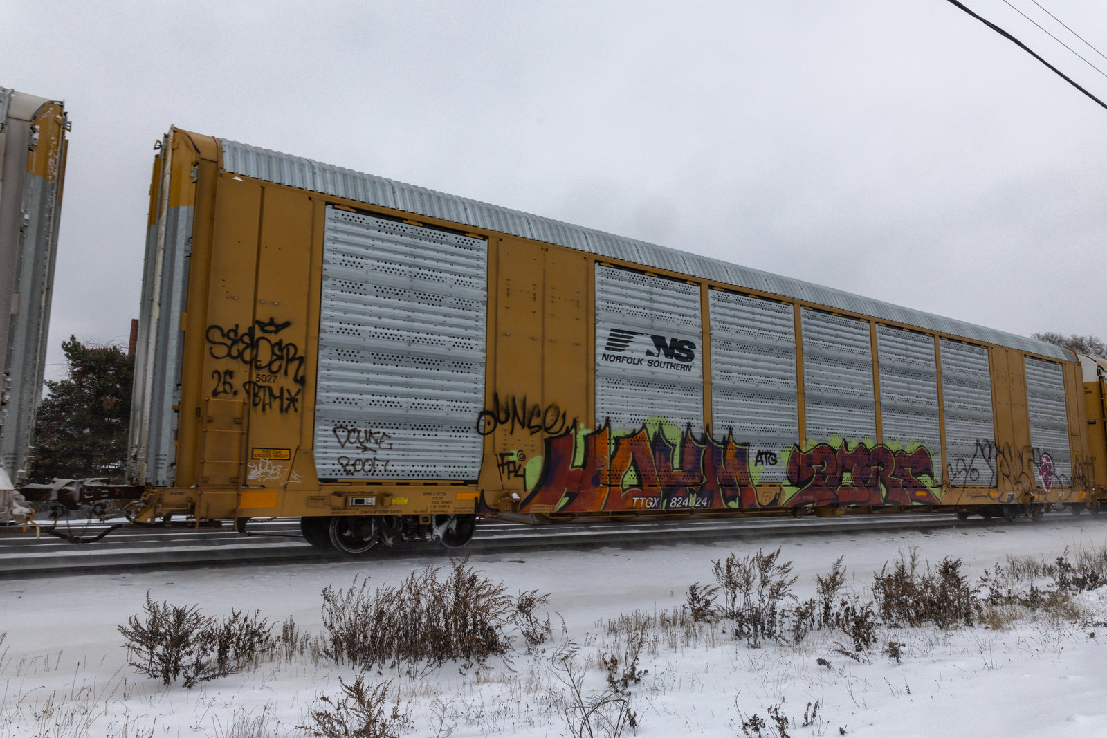 TTGX 824024