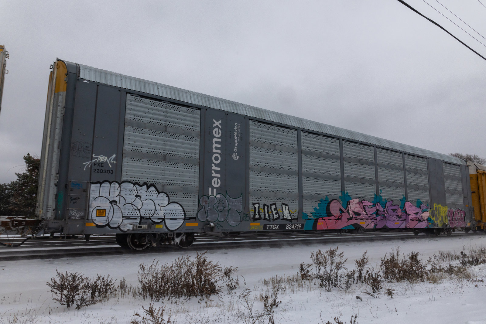 TTGX 824719