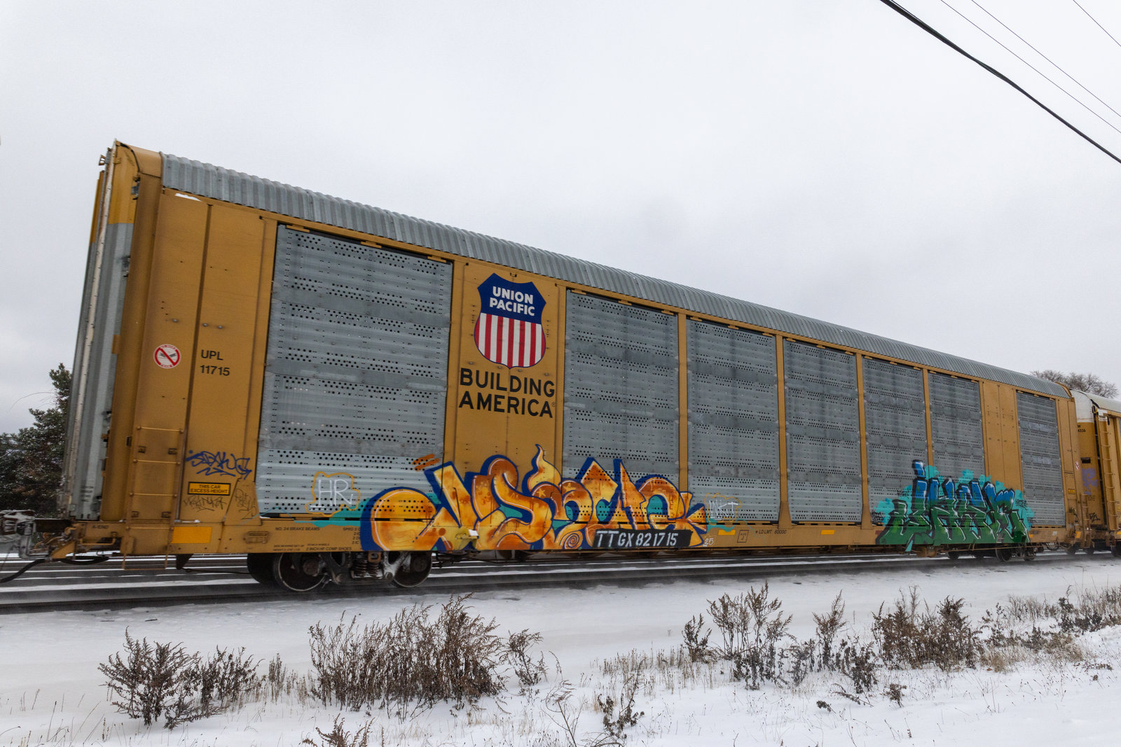 TTGX 821715